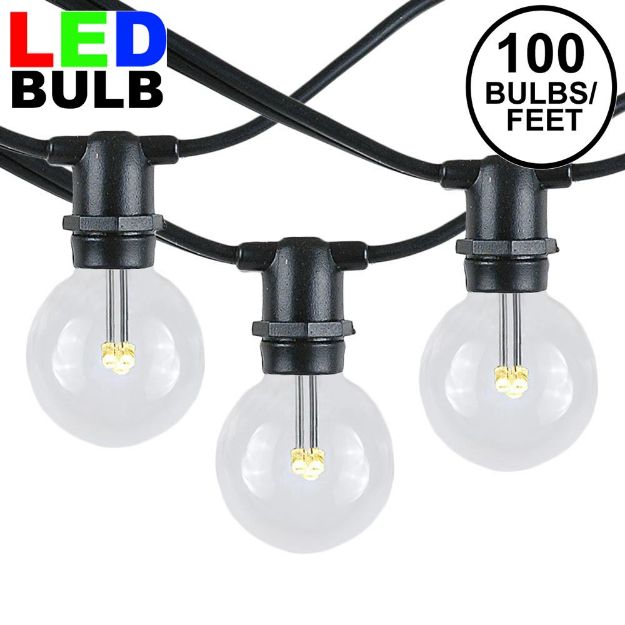 100 Warm White LED G40 Commercial Grade Candelabra Base Light Set - Black Wire