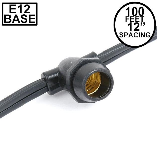 100' Black Commercial Grade Stringer 100 Candelabra (e12) Base Sockets