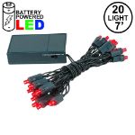 20 LED Battery Operated Lights Red Green Wire