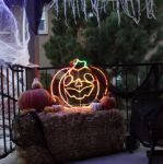 22" Halloween Pumpkin LED Rope Light Motif 