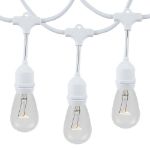 24 Clear S14 Commercial Grade Suspended Light String Set on 48' of White Wire 