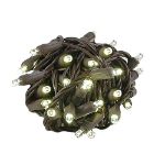 Twinkle LED Christmas Lights 50 LED Warm White 25' Brown Wire