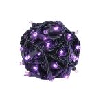 Commercial Grade Wide Angle 50 LED Purple 25' Long on Black Wire