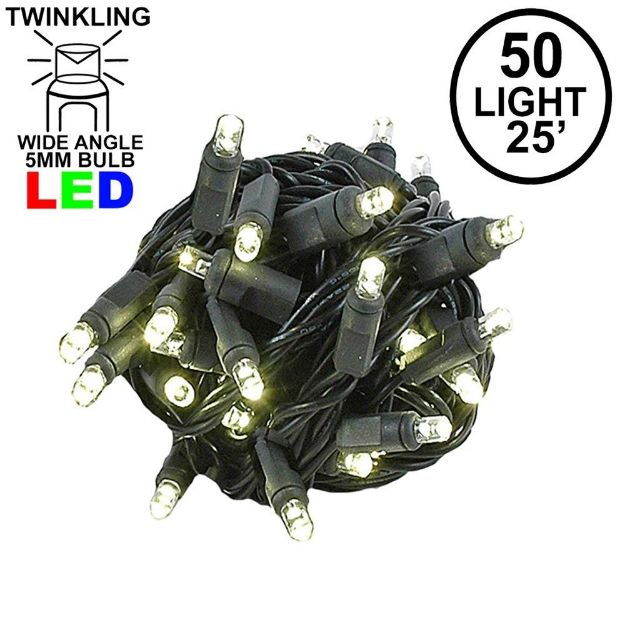 Twinkle LED Christmas Lights 50 LED Warm White 25' Black Wire