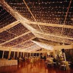 Commercial Grade Wide Angle 100 LED Warm White 34' Long White Wire