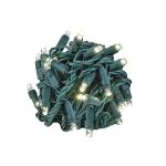 Commercial Grade Wide Angle 70 LED Warm White 24' Long on Green Wire