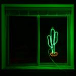29" Cactus Incandescent Rope Light Motif 