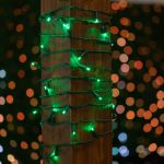 Commercial Grade Wide Angle 70 LED Green 35.5' Long on Green Wire