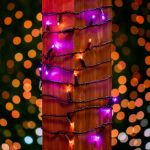 Commercial Grade Wide Angle 50 LED Purple/Amber 25' Long on Black Wire