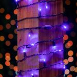 50 LED Purple LED Christmas Lights 11' Long on Black Wire