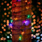 50 LED Multi LED Christmas Lights 11' Long on Black Wire