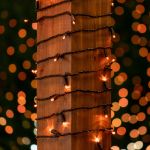 50 LED Amber LED Christmas Lights 11' Long on Black Wire