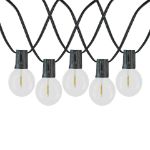 67 LED Filament G40 Globe String Light Set with Warm White Bulbs on Black Wire