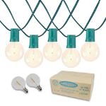 67 LED Filament G40 Globe String Light Set with Warm White Bulbs on Green Wire