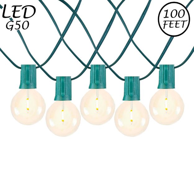 67 LED Filament G50 Globe String Light Set with Warm White Bulbs on Green Wire