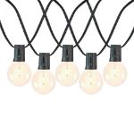 25 LED Filament G40 Globe String Light Set with Warm White Bulbs on Black Wire