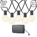 25 Solar LED Filament G40 Globe String Light Set with Warm White Bulbs on Black Wire
