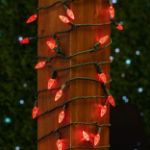 Red 70 LED C6 Strawberry Mini Lights Commercial Grade on Green Wire