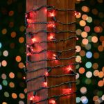 50 LED Red LED Christmas Lights 11' Long on Green Wire