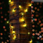 50 LED Yellow (gold) LED Christmas Lights 11' Long on Green Wire
