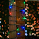 *NEW* True Twinkle LED Christmas Lights 50 LED Multi Color 25' Long Green Wire