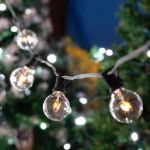 25 G40 Globe String Light Set with Clear Bulbs on Black Wire