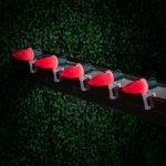 PeakPro C9 Smooth Ceramic LED Bulbs - Red - 25 Pack