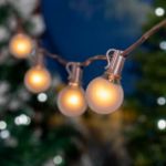 25 G40 Globe String Light Set with Frosted White Bulbs on Brown Wire