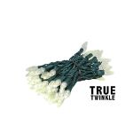 Coaxial *NEW* True Twinkle Warm White 70 LED C6 Strawberry Mini Lights Commercial Grade on Green Wire