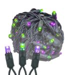 Commercial Grade Wide Angle 50 LED Purple/Lime 25' Long on Black Wire