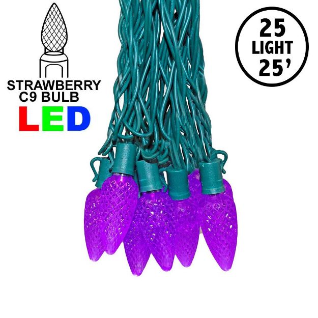 25 Purple C9 LED Pre-Lamped String Lights Green Wire