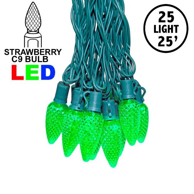 25-light C9 Multicolor LED Christmas Lights, 8 Spacing Green Wire