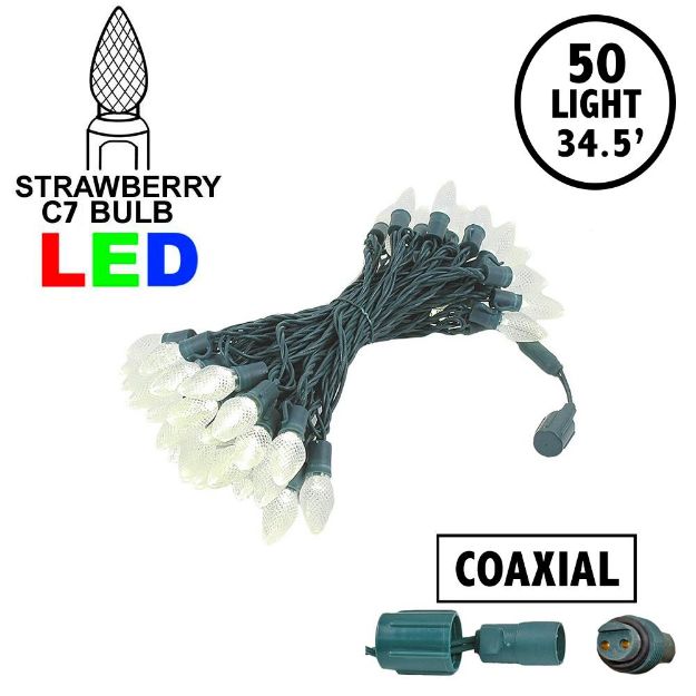 C7 Coaxial 50 LED Warm White 8" Spacing Green Wire