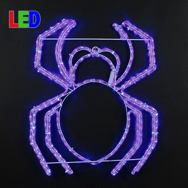 24" Halloween Spider LED Rope Light Motif 