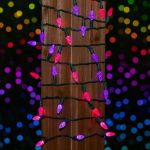 Pink and Purple 70 LED C6 Strawberry Mini Lights Commercial Grade Green Wire