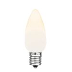 PeakPro C9 Smooth Ceramic LED Bulbs - Warm White - 25 Pack