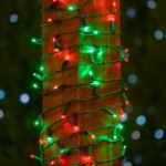 Commercial Grade Wide Angle 50 LED Red/Green 25' Long on Green Wire
