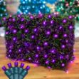 Purple LED Net Lights 4x6 Green Wire