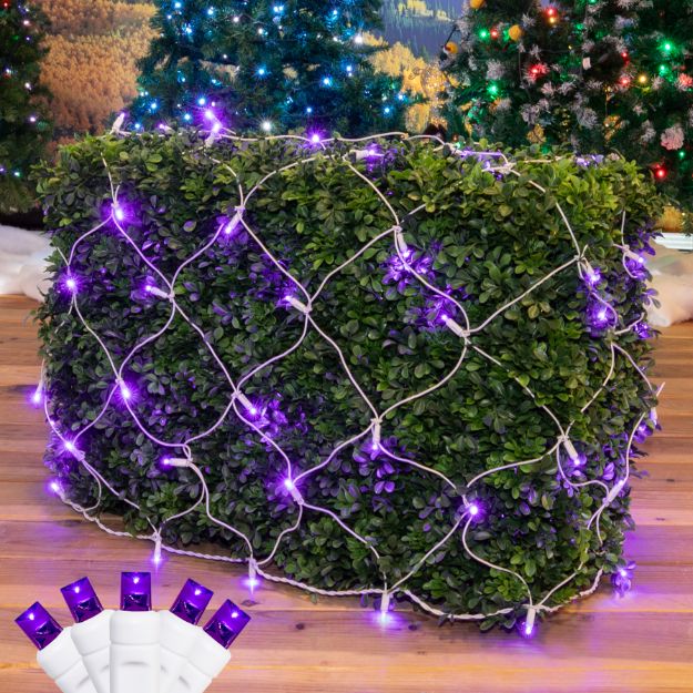 Purple LED Net Lights, White Wire 4x6