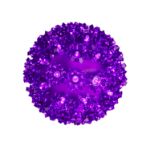 50 Purple LED 6" Sphere
