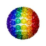 100 Rainbow LED 7.5" Sphere