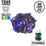 *NEW* True Twinkle® LED Mini Lights 50 LED Purple & Orange 25' Long Black Wire