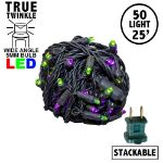 *NEW* True Twinkle LED Mini Lights 50 LED Purple & Lime 25' Long Black Wire