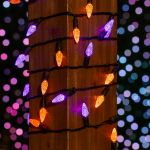 Purple and Orange 70 LED C6 Strawberry Mini Lights Commercial Grade Black Wire