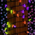 Purple/Lime/Orange 70 LED C6 Strawberry Mini Lights Commercial Grade Black Wire