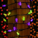 Purple and Lime 70 LED C6 Strawberry Mini Lights Commercial Grade Black Wire