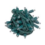 Commercial Grade Wide Angle 50 LED Sun Warm White 25' Long on Green Wire