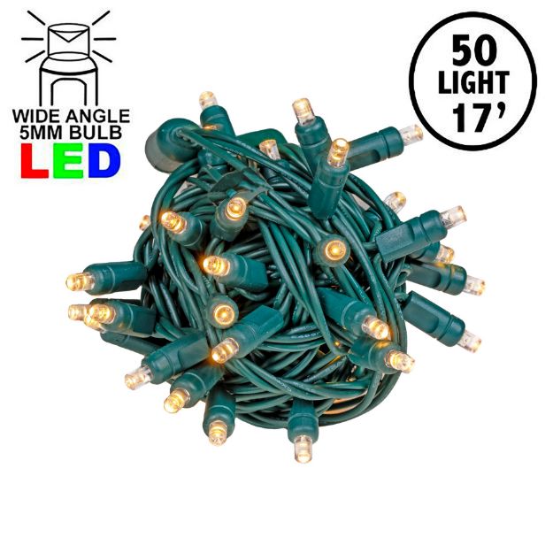 Commercial Grade Wide Angle 50 LED Sun Warm White 17' Long on Green Wire