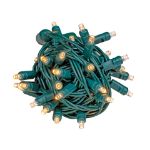 Coaxial 50 LED Sun Warm White 4" Spacing Green Wire