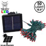 Red LED Solar Powered Lights 50 Light String 3" Spacing  Green Wire